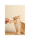 4 Adet 15 Gr Yengeçli Kedi Ödülü thumbnail 3