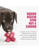 Köpek Diş Bakım Oyuncak M 9cm thumbnail 3