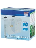 balık yavruluk thumbnail 3