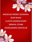 Japanese Cherry Blossom Duş Jeli thumbnail 2
