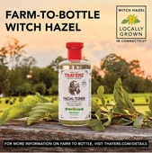 Thayers Original Cadı Fındığı İçerikli Tonik 355 ML thumbnail 7