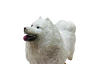 Köpekler - Samoyed Cinsi Köpek   - 1 ADET thumbnail 4