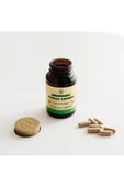 Solgar Korean Ginseng 50 Kapsül 2 Adet thumbnail 2