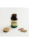 Solgar Korean Ginseng 50 Kapsül 3 Adet thumbnail 2
