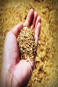 Granül Üre Gübresi %46 A- 1 Kg thumbnail 7