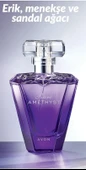 Avon Rare Amethyst Kadın Parfüm Edp 50 ml thumbnail 2