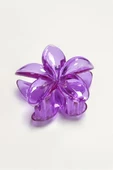 Lotus Toka 8 cm thumbnail 2