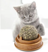 Kedi Nanesi Oyun Topu thumbnail 4