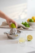 Akayev Çelik Limon Sıkacağı thumbnail 3