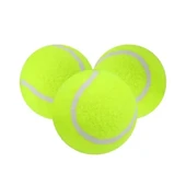 3'lü Köpek Oyun Tenis Topu thumbnail 3