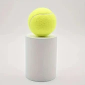 3'lü Köpek Oyun Tenis Topu thumbnail 5