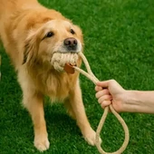 Mikopet Köpek Oyun Topu thumbnail 5