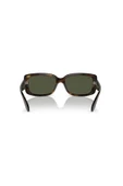 Ray-Ban 0RB4389 710-31 55 thumbnail 3