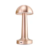 PANTHER PT-700 ROSE USB ŞARJLI MASA LAMBASI thumbnail 1