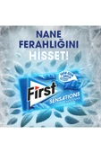 First Sensations Keskin Nane 27gr - 12 Adet thumbnail 3
