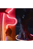 Philips Hue Neon Gradient Outdoor Akıllı Led Şerit 5M thumbnail 6