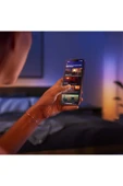 Philips Hue Gradient Signe Zemin Işığı - Meşe thumbnail 5