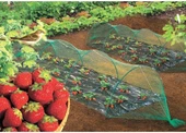 Kuştan koruma ağı intermas 120018 birdnet paket thumbnail 5