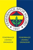 FENERBAHÇE ORİJİNAL LİSANSLI  26/27 SEZON ÇOCUK FORMA thumbnail 6