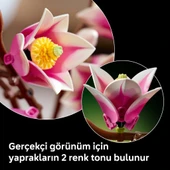LEGO 11510  Botanicals Manolya Dalları thumbnail 7