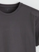 LC WAIKIKI Gri Regular Fit  Basic Tişört thumbnail 6