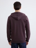 LCWAIKIKI Basic Mürdüm Kapüşonlu Erkek Fermuarlı Sweatshirt thumbnail 5