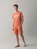 LCW Kids Turuncu Beli Lastikli Basic Erkek Çocuk Şort thumbnail 1