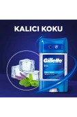 Deo Jel Cool Wave 70 Ml thumbnail 6