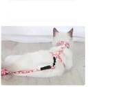 Kedi Gezdirme Göğüs Tasması thumbnail 2
