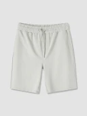 LCWAIKIKI Classic Gri Regular Fit Erkek Şort thumbnail 5