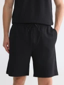 LCW Vision Siyah Regular Fit Erkek Şort thumbnail 3