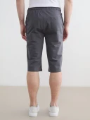LCWAIKIKI Classic Gri Regular Fit Erkek Şort thumbnail 4