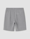 LCW Vision Gri Regular Fit Erkek Şort thumbnail 3