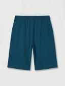 LCWAIKIKI Classic Petrol Regular Fit Erkek Şort thumbnail 5