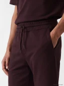 LCW Vision Mürdüm Regular Fit Erkek Şort thumbnail 3