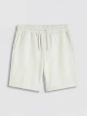 LCW Vision Gri Regular Fit Soft Touch Erkek Şort thumbnail 4
