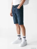 LCW Jeans İndigo Regular Fit Erkek Jean Şort thumbnail 2