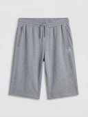 LCWAIKIKI Classic Gri Regular Fit Erkek Şort thumbnail 5
