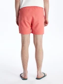 LCW SWIMWEAR Mercan Kısa Boy Basic Erkek Deniz Şortu thumbnail 5