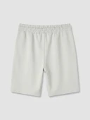 LCWAIKIKI Classic Gri Regular Fit Erkek Şort thumbnail 7