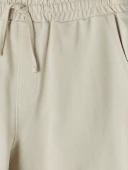 LCWAIKIKI Classic Bej Regular Fit Erkek Şort thumbnail 6