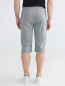 LCWAIKIKI Classic Gri Regular Fit Erkek Şort thumbnail 4