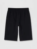 LCWAIKIKI Classic Siyah Regular Fit Erkek Şort thumbnail 5