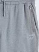 LCWAIKIKI Classic Gri Regular Fit Erkek Şort thumbnail 7