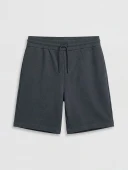 LCW Vision Antrasit Regular Fit Erkek Şort thumbnail 5