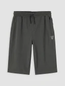 LCWAIKIKI Classic Antrasit Regular Fit Erkek Şort thumbnail 4