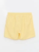 LCW SWIMWEAR Sarı Kısa Boy Basic Erkek Deniz Şortu thumbnail 6
