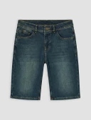 LCW Jeans Yeşil Regular Fit Erkek Jean Şort thumbnail 5
