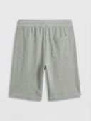 LCWAIKIKI Classic Gri Regular Fit Erkek Şort thumbnail 6