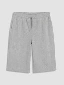 LCWAIKIKI Classic Gri Regular Fit Erkek Şort thumbnail 4